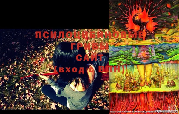 дурь Лабытнанги