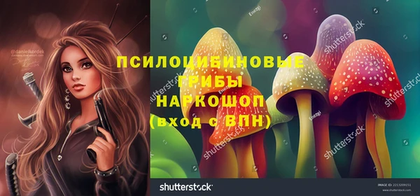 не бодяженный Краснослободск