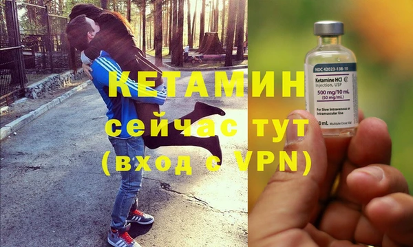индика Ладушкин