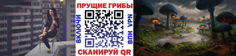 Галлюциногенные грибы MAGIC MUSHROOMS  закладка  Луга 