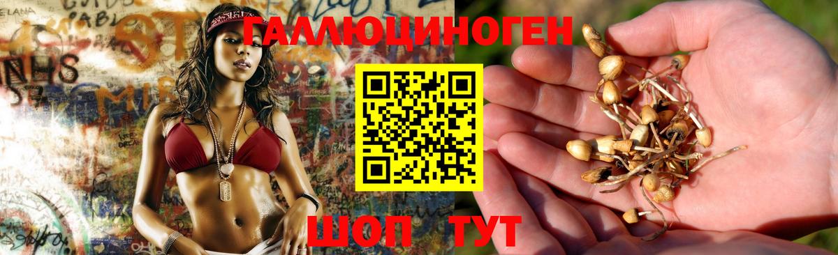 где можно купить наркотик  Галлюциногенные грибы Magic Shrooms  Вход с VPN  Луга 
