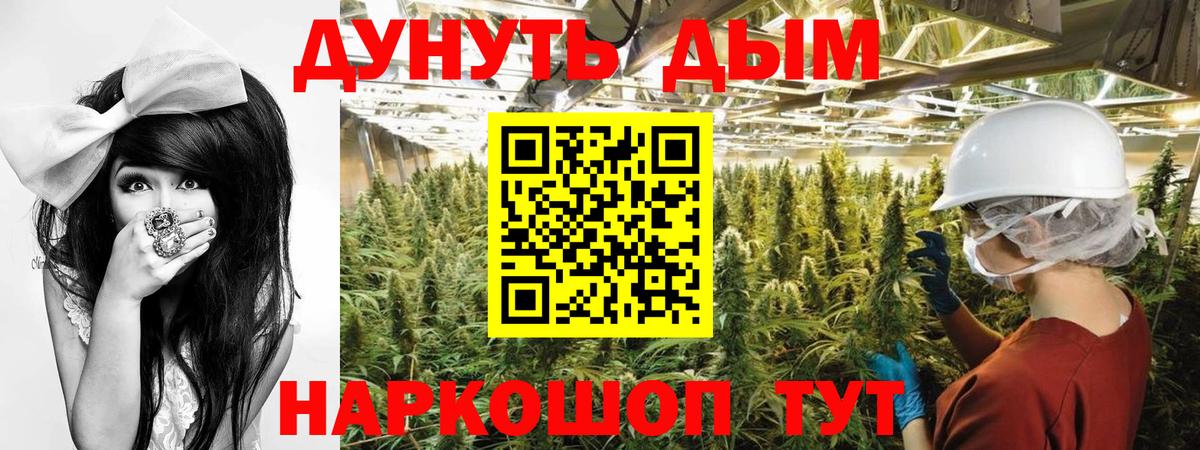 Конопля Amnesia  Вход с VPN  Бошки Шишки гибрид  Луга  МАРИХУАНА Amnesia  Бошки марихуана THC 21% 
